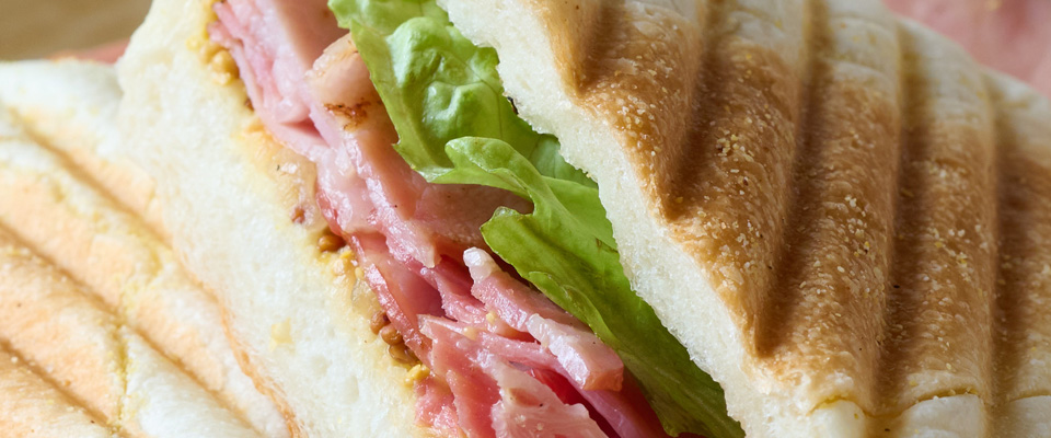 PANINI